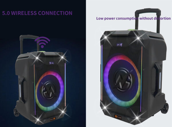 N-Gear FLASH1240 12'' Portable Karaoke Speaker with 1x Wireless Mic LED Lights USB & BT - Image 5