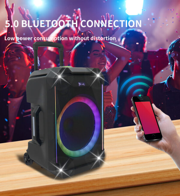 N-Gear FLASH1040 Portable Karaoke Wireless Mic LED/USB/MIC IN/AUX IN - Image 4