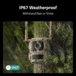 Reolink Camovue Talon Pro S130 4K 4G Wildlife Battery Solar Camera (with Lithium Battery included) - Image 7