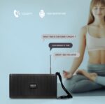 SonicGear SONICGO! RDO30-X Portable BT/FM/USB Speaker Gray - Image 13