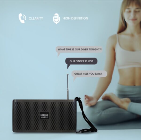 SonicGear SONICGO! RDO30-X Portable BT/FM/USB Speaker Gray - Image 13