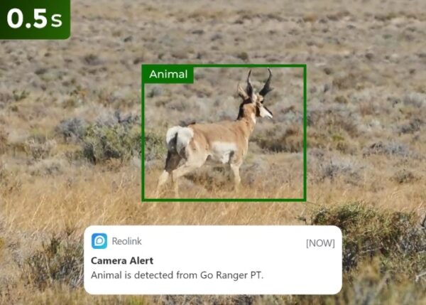 Reolink BP4G Outdoor Battery Camera 4K PTZ GO Ranger PT + Solar - Image 10