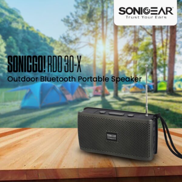 SonicGear SONICGO! RDO30-X Portable BT/FM/USB Speaker Gray - Image 16