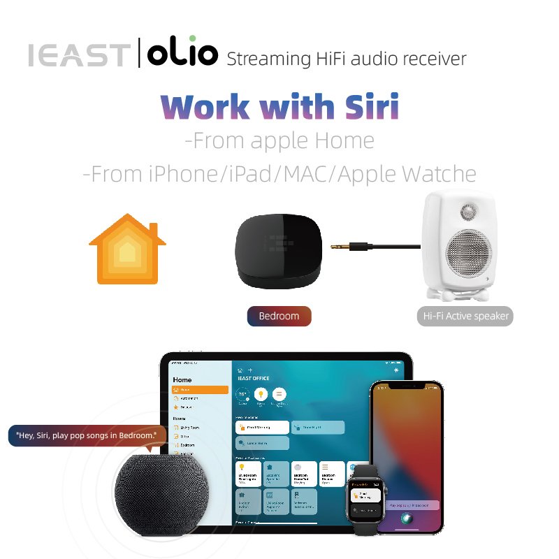 iEast Audiocast Oliostream 1 Black Receiver Multiroom Audio WiFi+BT AirPlay2